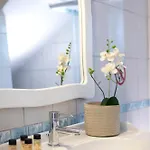 Levanda Cozy * Apolpaina