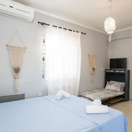 Levanda Cozy * Apolpaina